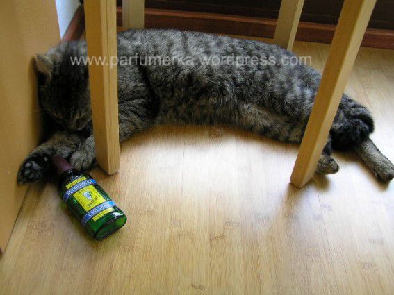 …ale nemělo by to být i vidět, jinak to na parfém nesvedete.