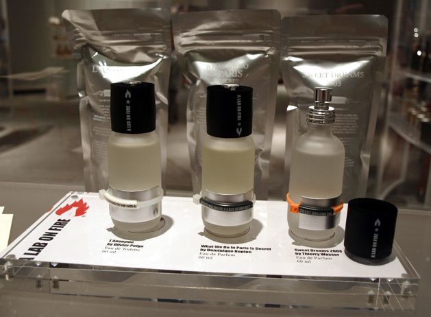 a lab on fire romana granatova