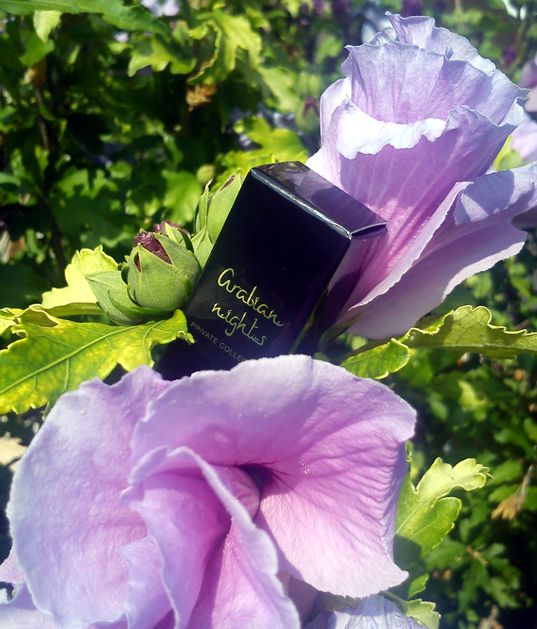 pozo private collection arabian nights 2