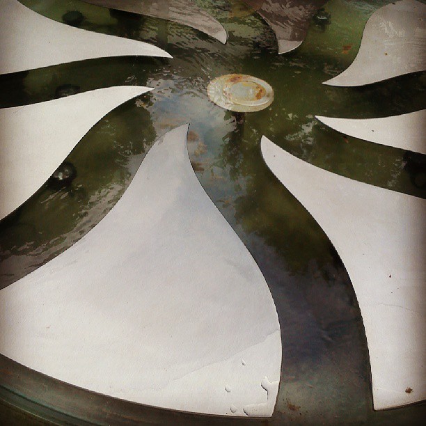 dresden_parfumerie (10)