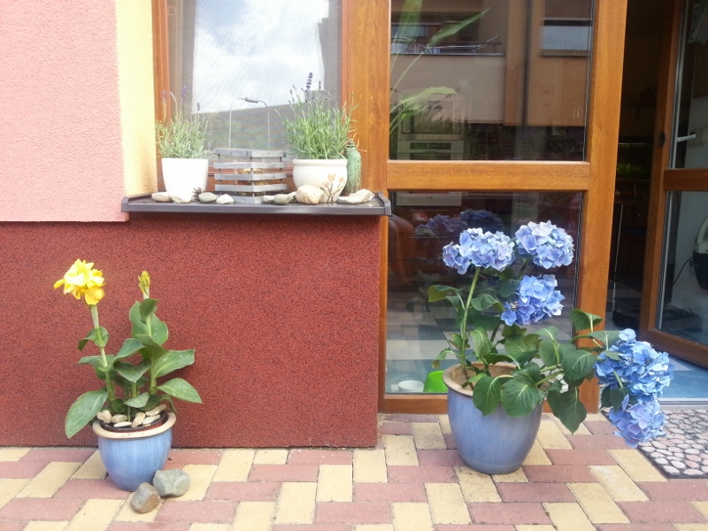 20130720_161816 (800x600)