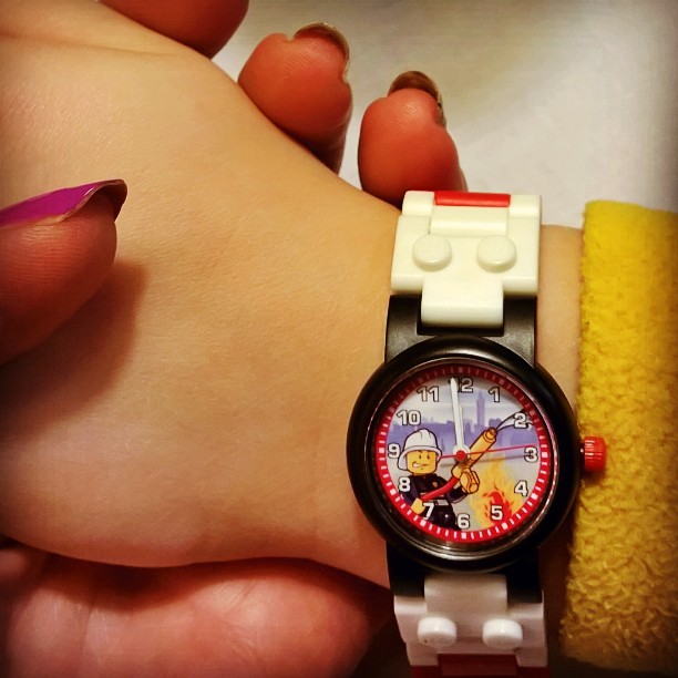 10000001 silvestr (1)