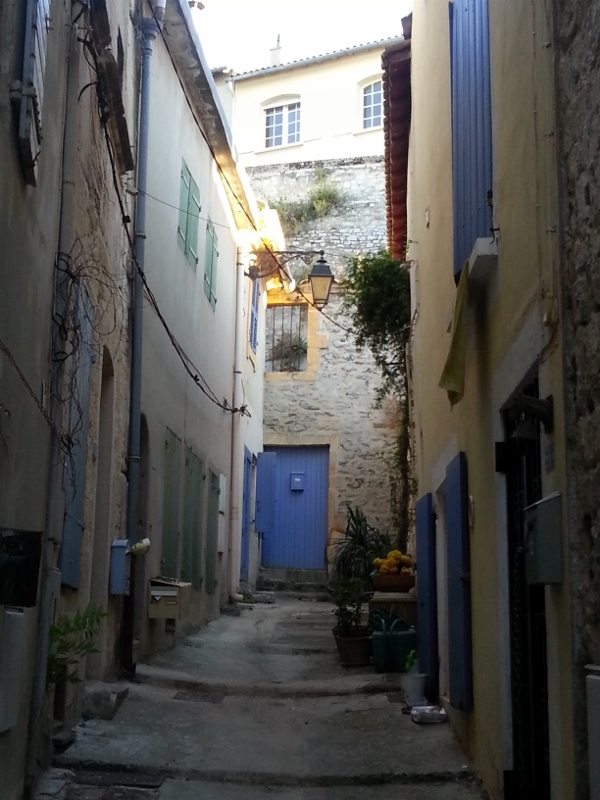 20150728_194632 (600x800)