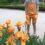 • RAMON MONEGAL: Impossible Iris v botanické zahradě v Madridu