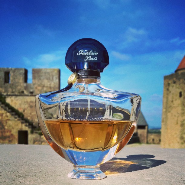 11187066_445357815637587_1927143558_n[1]