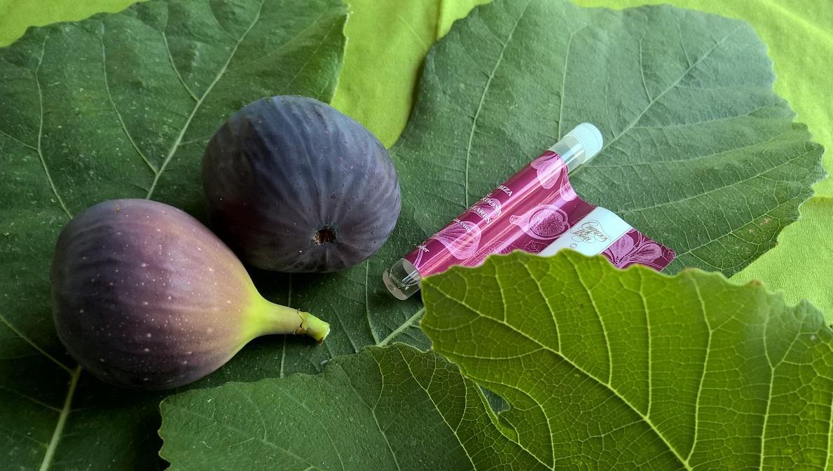 campos de ibiza _higo