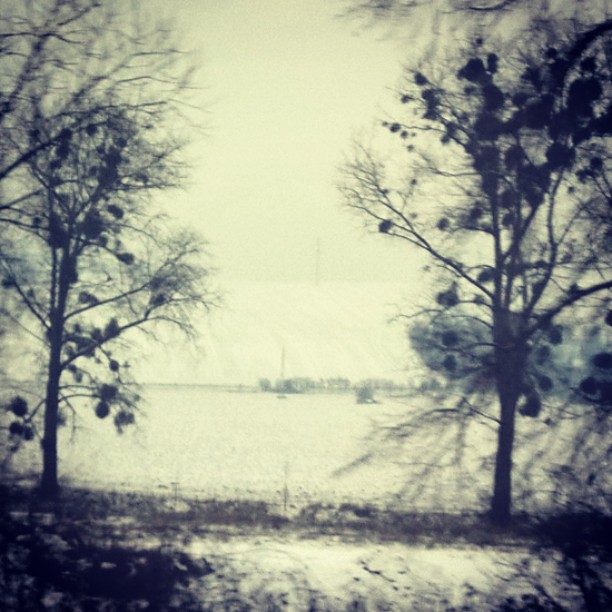 zima sním mráz jmelí pole stromy