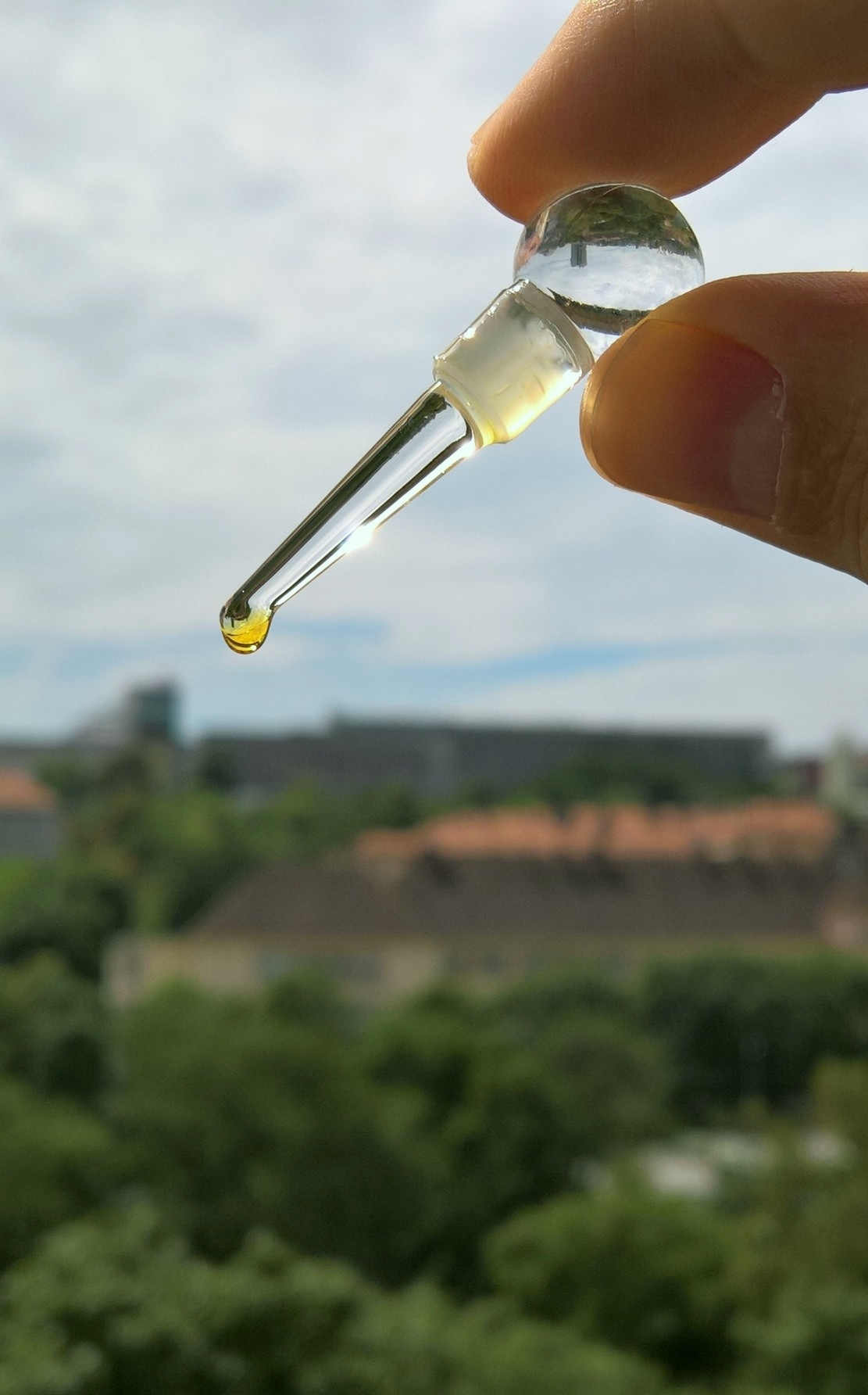 WP_20170723_11_39_48_Pro (2)