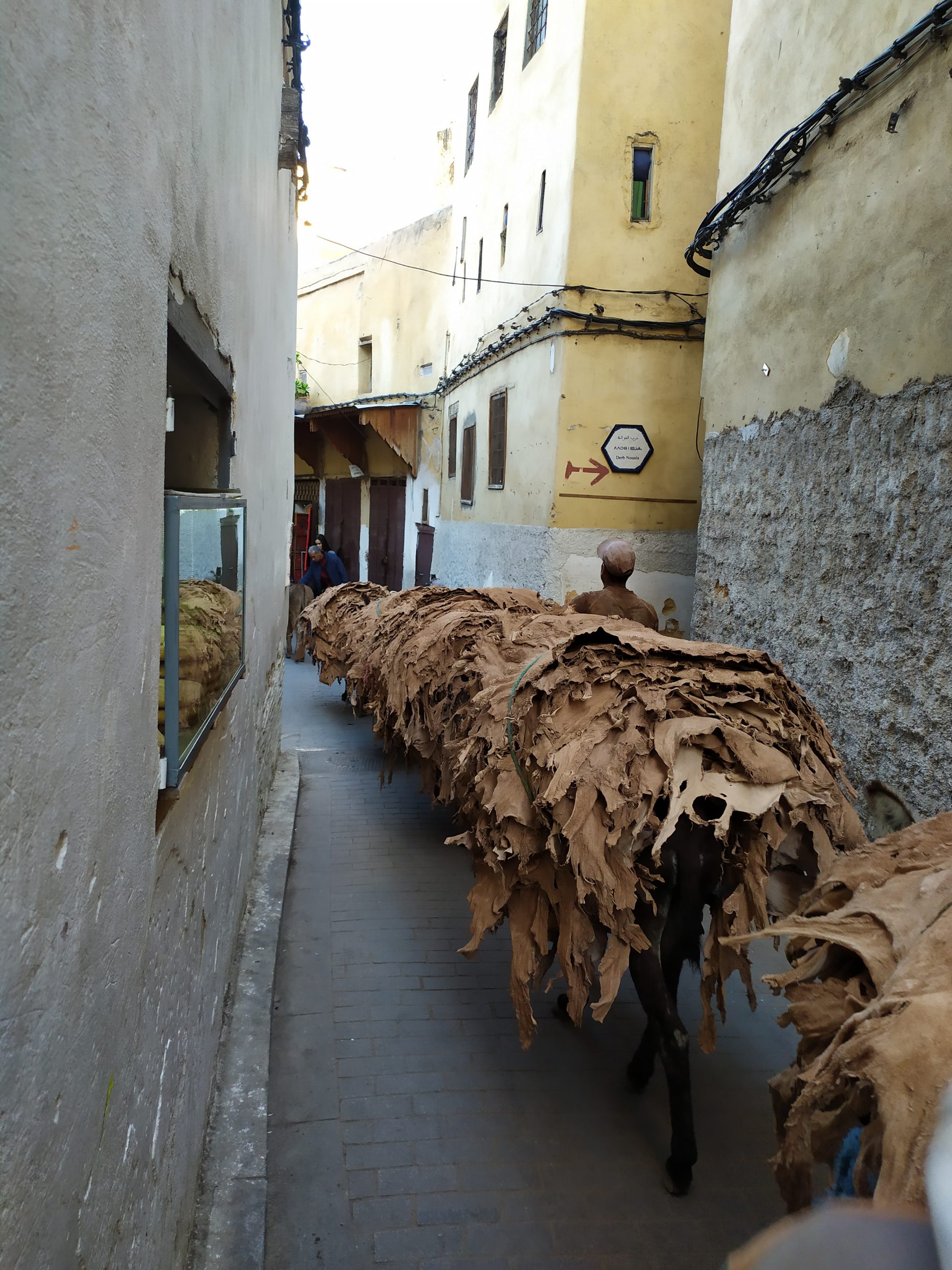 Vezou kůže do barvíren