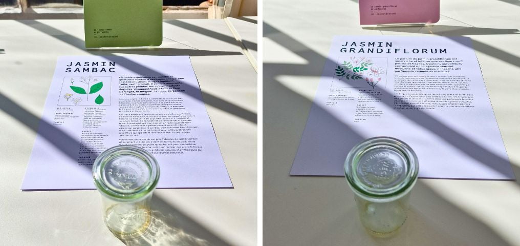 LMR ingredience parfemy složky (3)