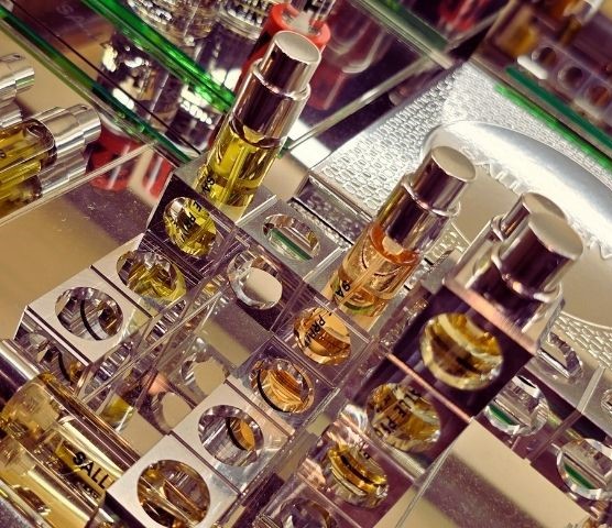 RVDK The Mind Vaccine SALLE PRIVÉE