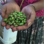 parfémový influencer Dominique Roques